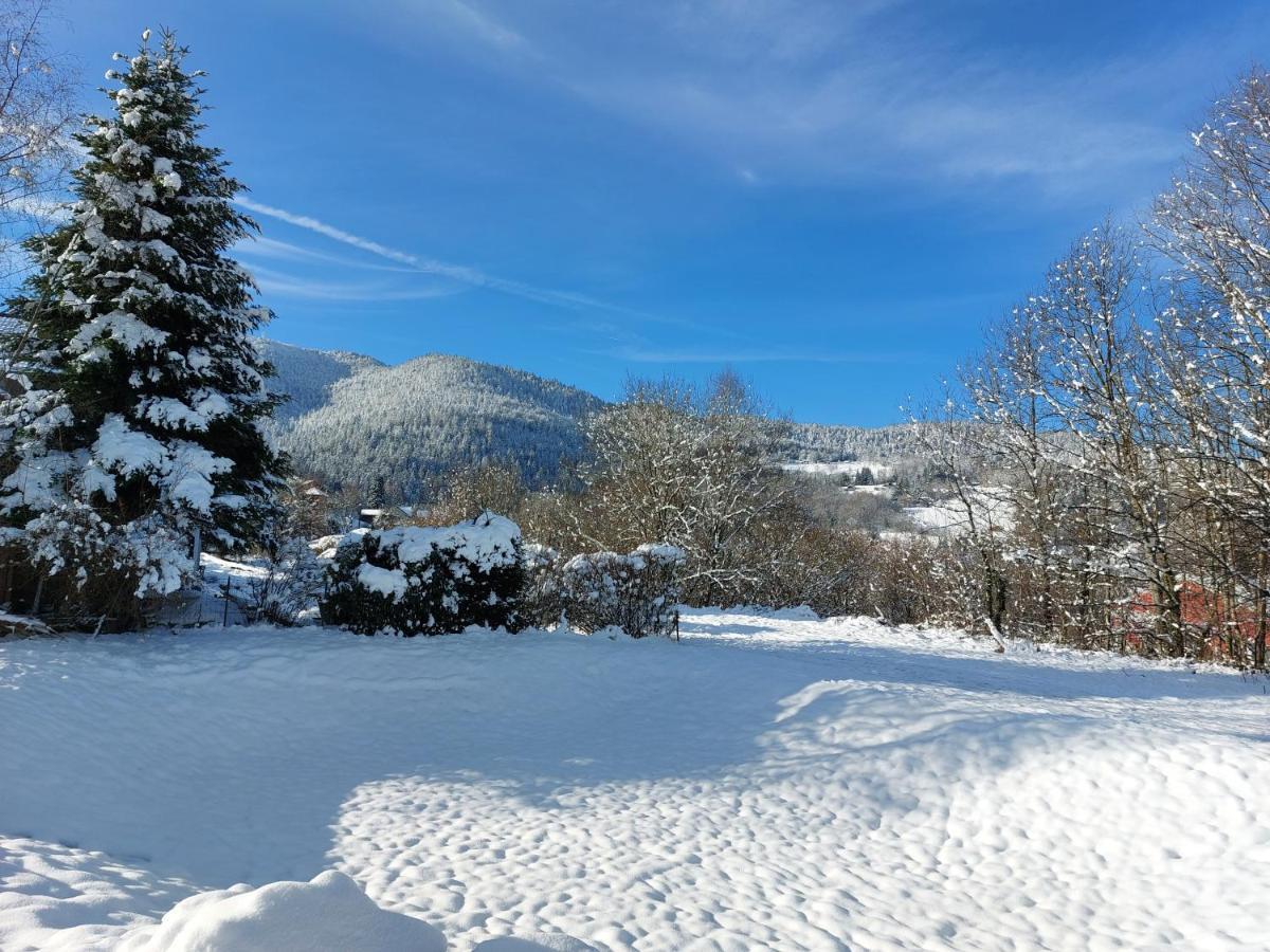 Au Bonheur Fait Maison Bed & Breakfast Saint-Maurice-sur-Moselle Exterior photo